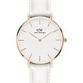 Daniel Wellington Daniel Wellington Petite Bondi DW00100189  DW00100189 кварцевые женские часы  белый циферблат, браслет кожаный — вид спереди