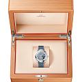 Omega Omega Seamaster Aqua Terra  220.12.41.21.03.005 seamaster швейцарские мужские часы на браслете каучук боковой вид
