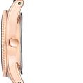 Часы Anne Klein Plastic 3212NVRG фото 2