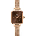 Daniel Wellington Daniel Wellington Quadro Mini DW00100649  DW00100649 кварцевые женские часы  коричневый циферблат, браслет сталь c pvd покрытием — вид спереди