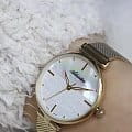 Adriatica Adriatica Essence A3737.119FQ  — задняя крышка металл сталь корпуса швейцарские часы
