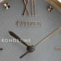 Citizen Citizen Eco-Drive EM0506-77A eco-drive японские женские часы на браслете нержавеющая сталь с ip-покрытием боковой вид