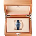 Omega Omega Seamaster Aqua Terra 220.13.41.21.03.003 seamaster швейцарские мужские часы на браслете кожаный боковой вид
