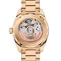 Omega Omega Seamaster Aqua Terra 220.50.38.20.03.001 Aqua Terra наручные женские часы фото под углом.