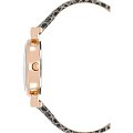 Часы Anne Klein 2247AQBK фото 2