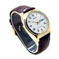 Casio Casio Collection MTP-V006GL-7BUDF (Standard MTP-V006GL-7B)  наручные мужские часы фото под углом.