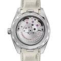 Omega Omega Seamaster Aqua Terra 220.12.41.21.02.005 Aqua Terra наручные мужские часы фото под углом.