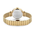 Cerruti 1881 Cerruti 1881 Cerrisi CIWLH2205503  французские женские часы на браслете нержавеющая сталь с ip-покрытием боковой вид