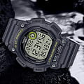 Оригинальные часы Casio Casio Collection WS-2100H-8A кварцевые калибр механизма  общий вид