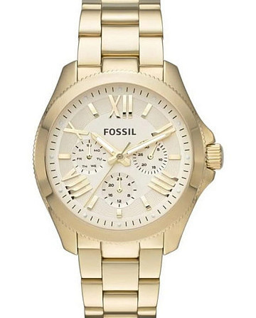 Fossil Bannon  AM4510